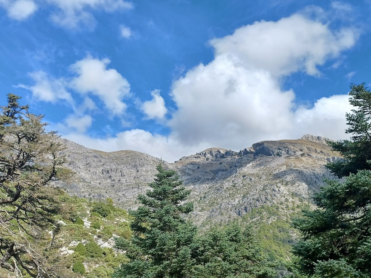 Sierra de las Nieves National Park photo 2