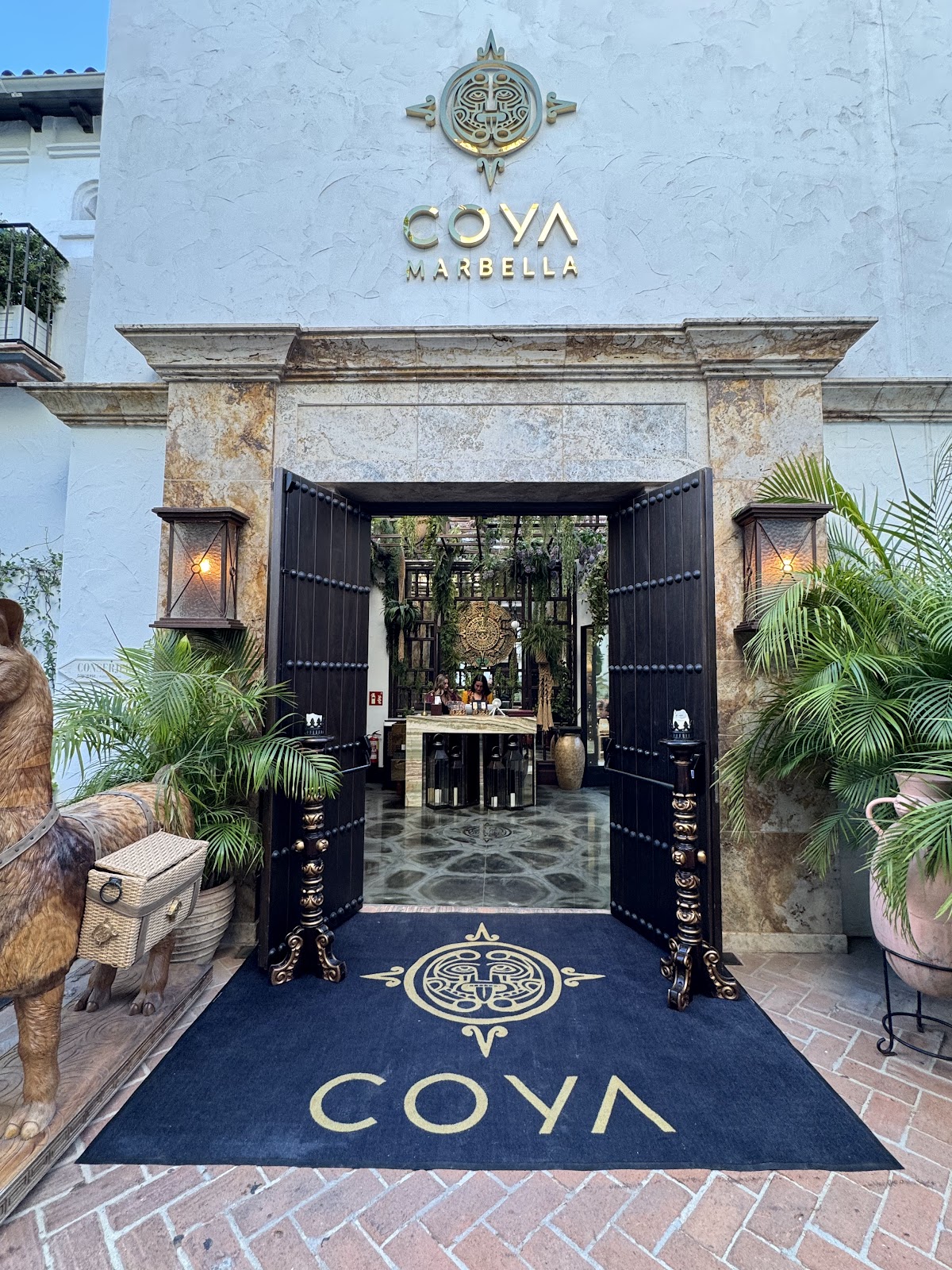 COYA photo 4