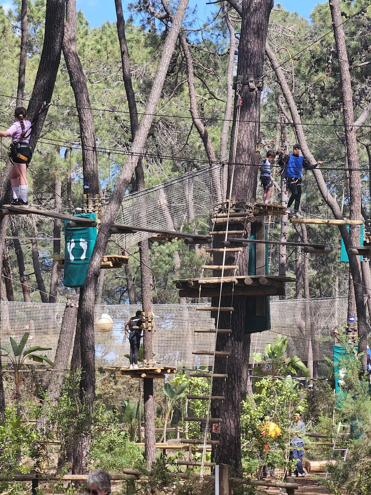 AVENTURA AMAZONIA MARBELLA. Parque de multiaventura y tirolinas para adultos y niños. Despedidas photo 2