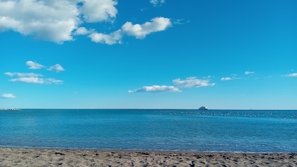 Playa de la Malagueta photo 4