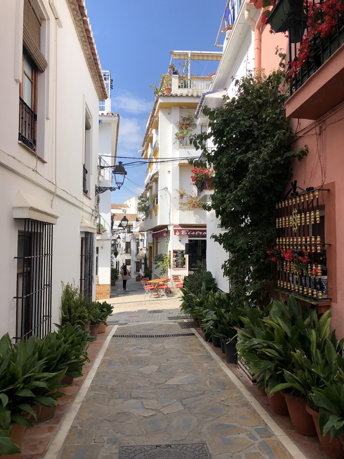 Casanis Bistrot Marbella photo 5