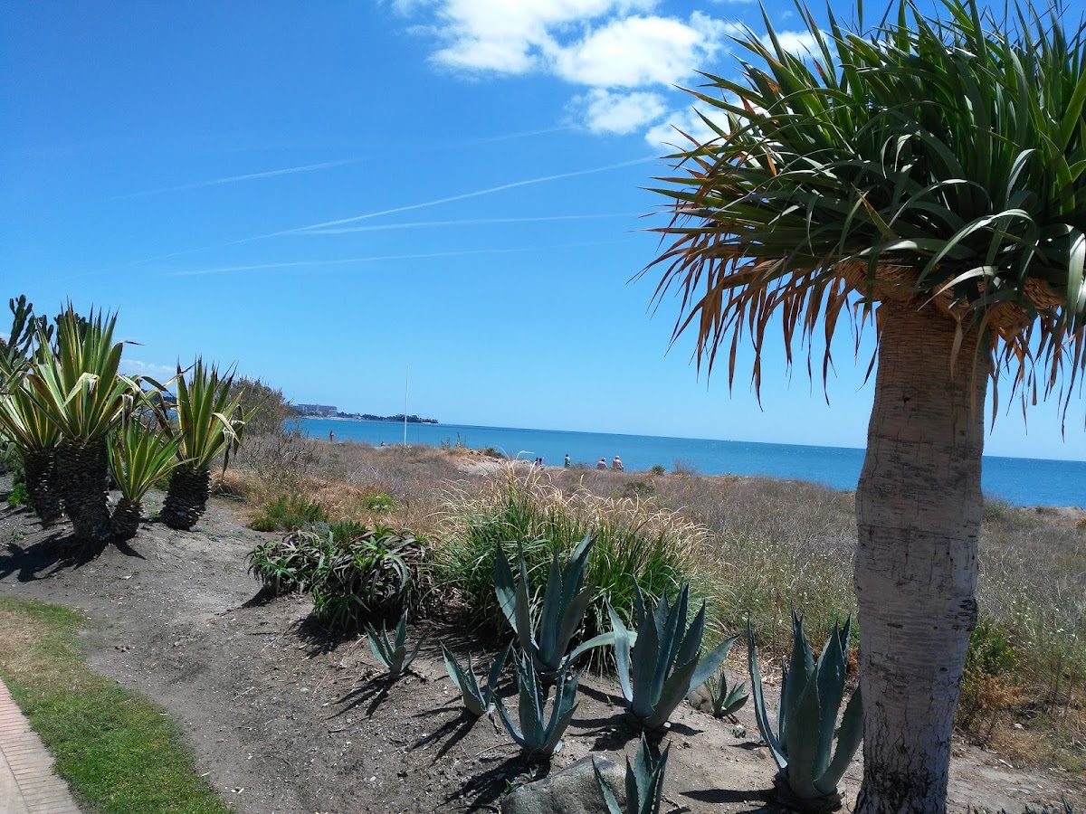 Playa El Saladillo photo 4