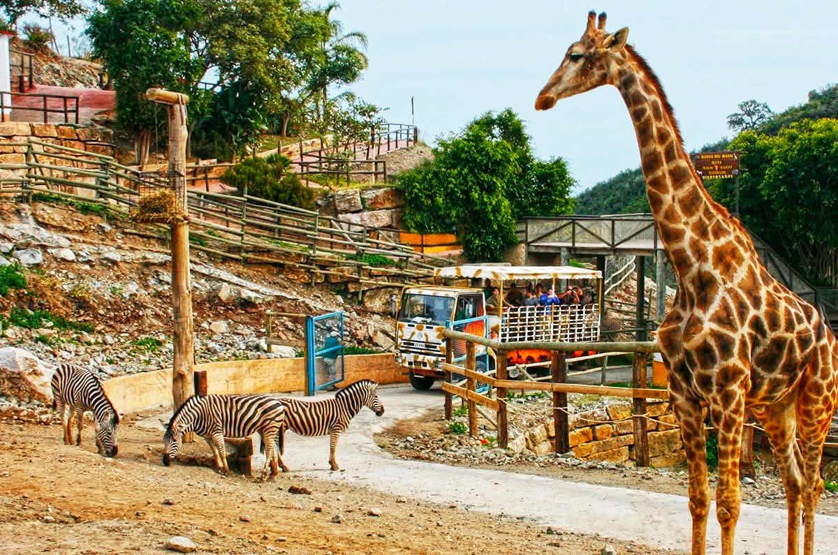 Selwo Aventura photo 2