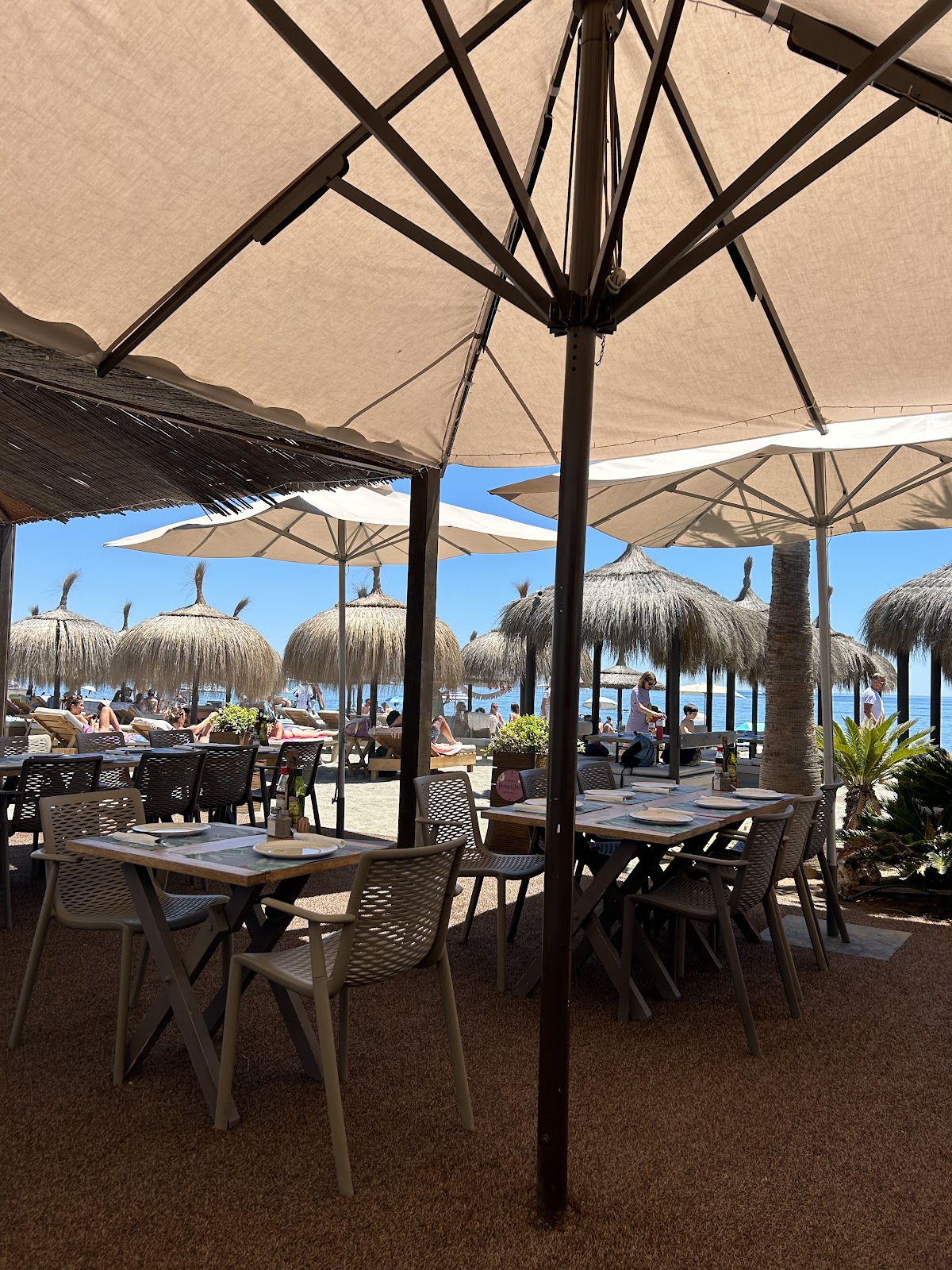 Chambao Sotogrande Beach Bar Club photo 4