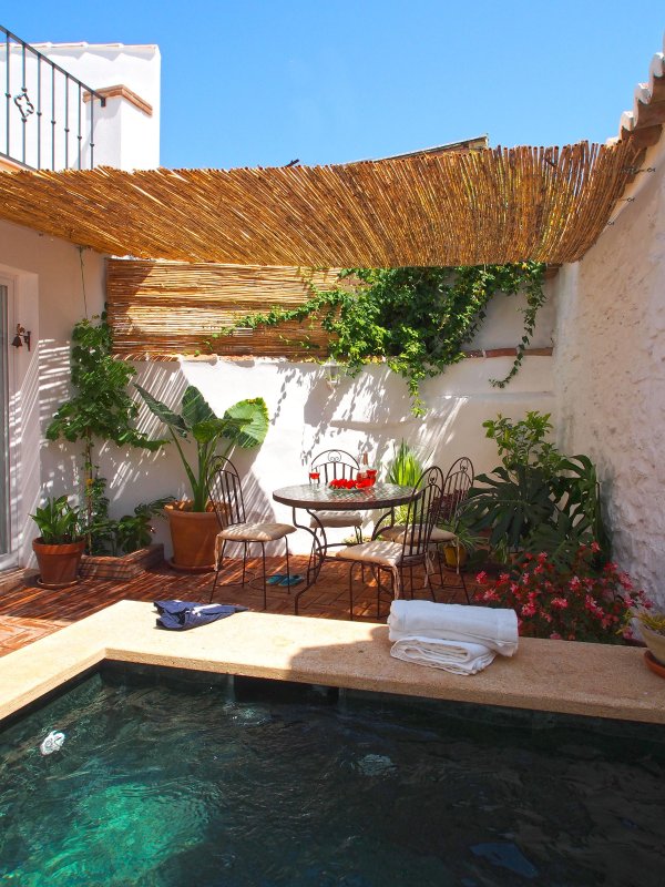 El Patio de Lola photo 1