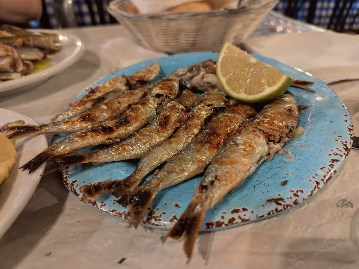 Restaurante El Tintero (El original y único tradicional situado en el Palo Málaga) photo 4
