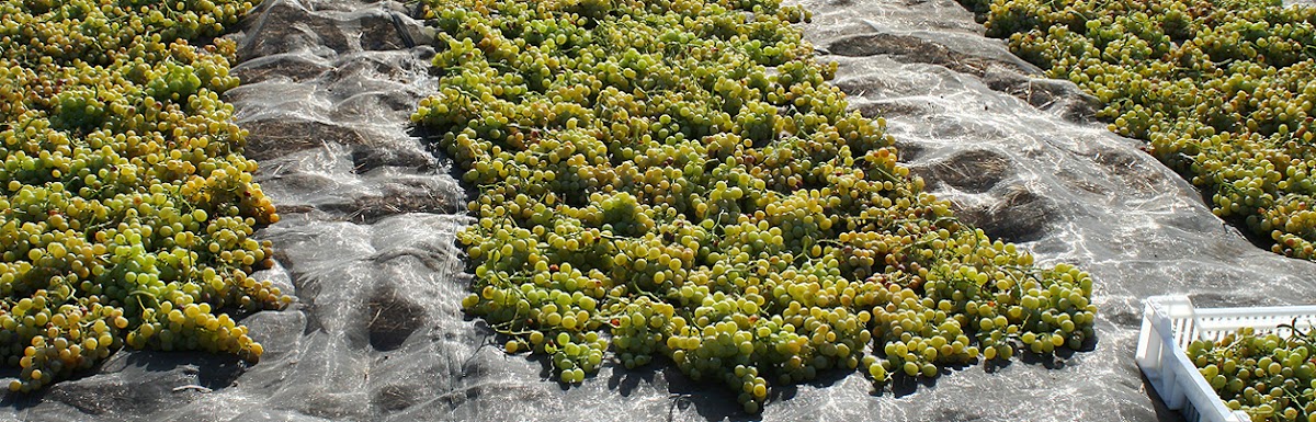 Bodega La Capuchina photo 1
