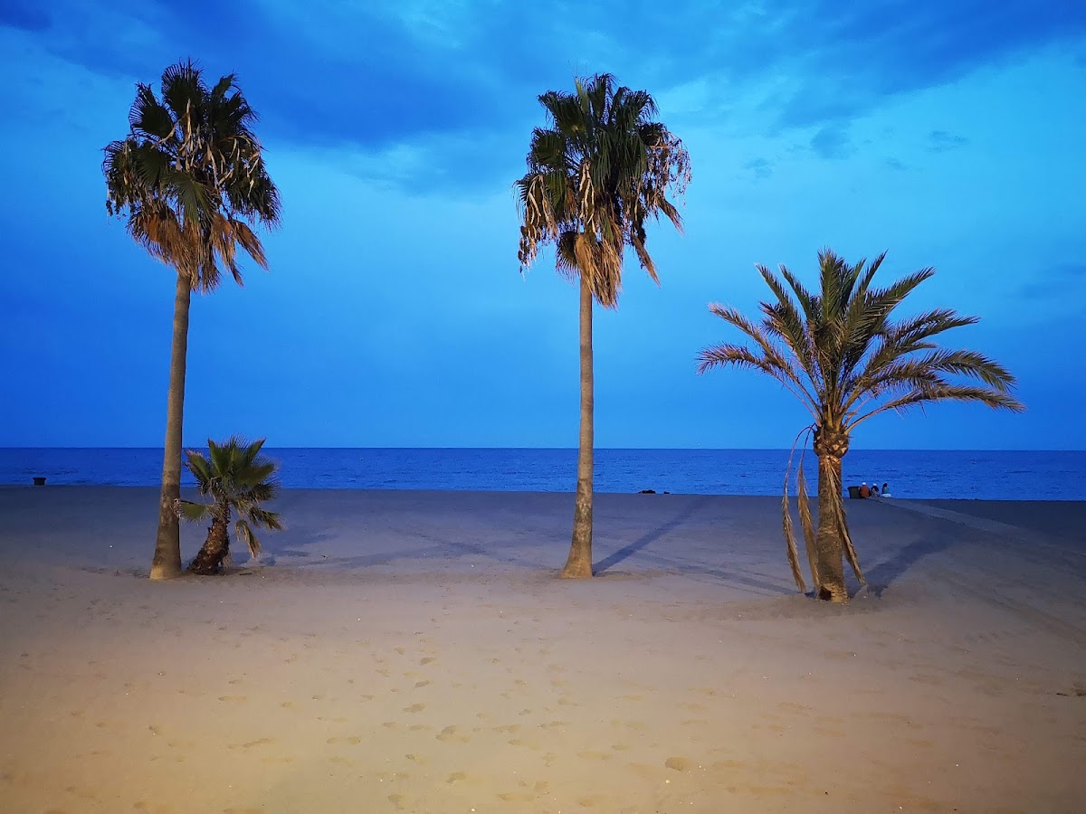 Playa de la Rada photo 4