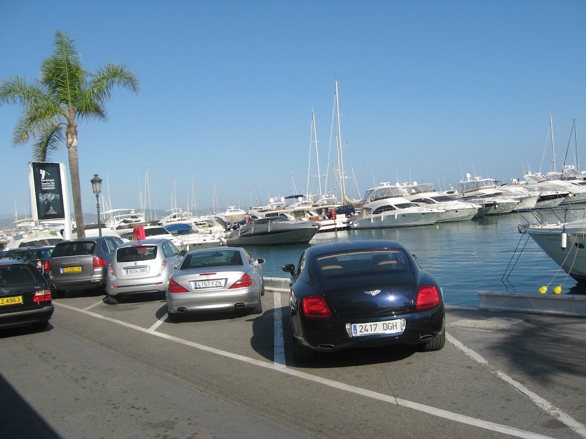 Pangea | Marbella photo 5