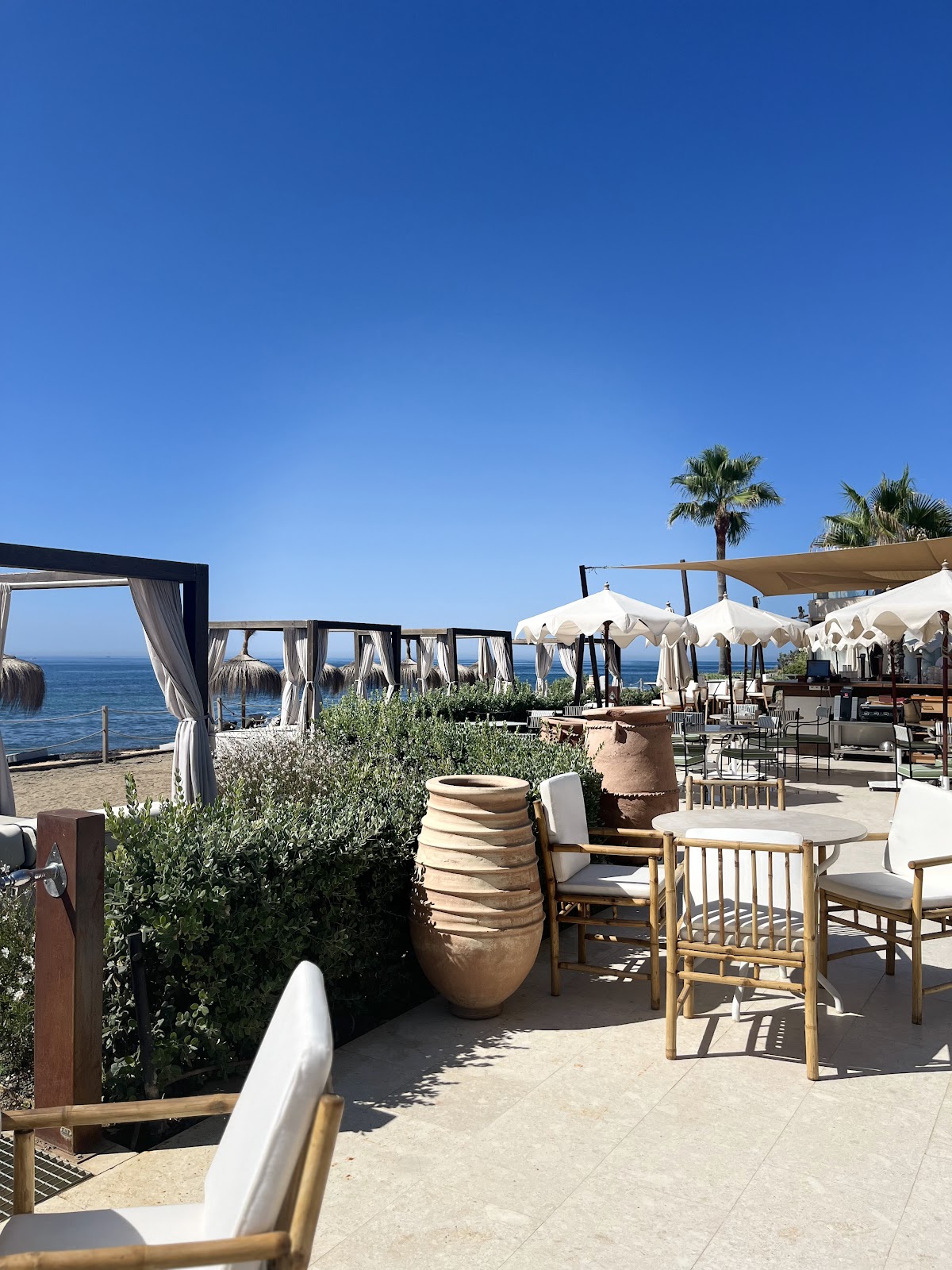 Barbillón Marbella photo 4