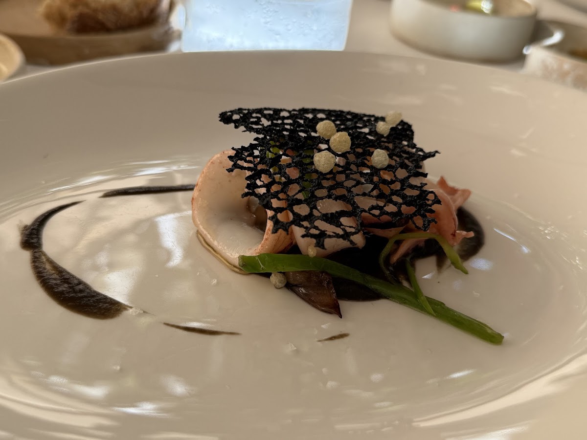 Beluga - Mediterranean Restaurant photo 5