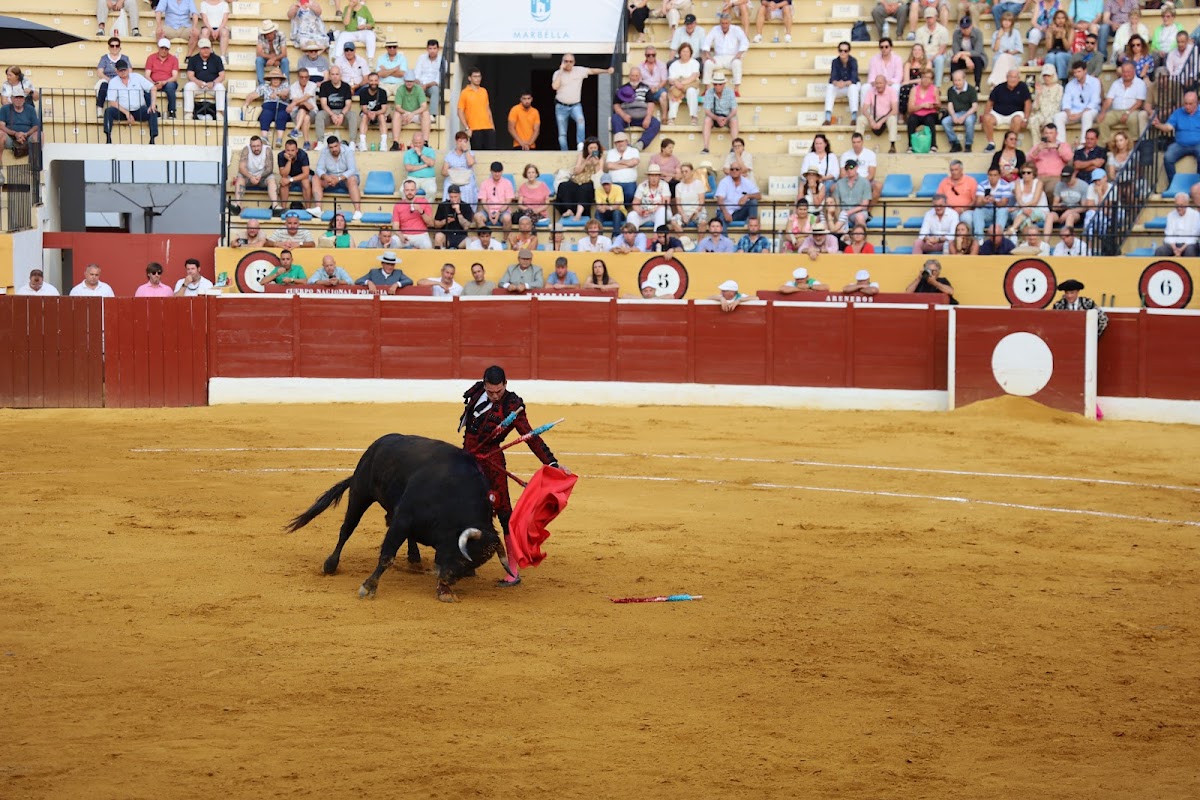 Plaza de Toros de Marbella photo 3